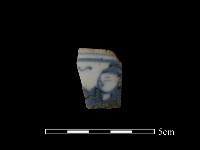 藏品(瓷片)的圖片