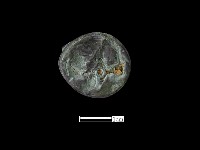 藏品(銅鈴)的圖片