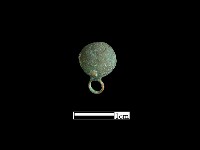 藏品(鈕子)的圖片