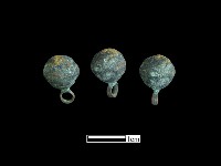 藏品(鈕子)的圖片