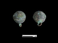 藏品(鈕子)的圖片