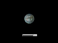 藏品(墜飾)的圖片