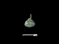 藏品(墜飾)的圖片