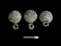 藏品(鈕子)的圖片