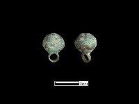 藏品(鈕子)的圖片