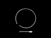 藏品(戒指)的圖片