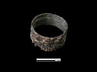 藏品(戒指)的圖片