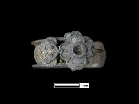 藏品(耳環)的圖片