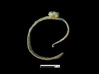 藏品(耳環)的圖片