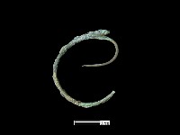 藏品(耳環)的圖片