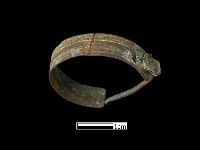 藏品(耳環)的圖片