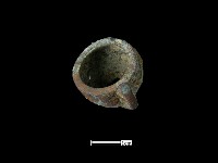 藏品(煙具)的圖片