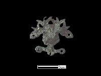 藏品(飾品)的圖片