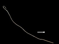 藏品(髮簪)的圖片