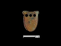 藏品(鞋扣)的圖片