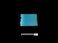 藏品(髮簪)的圖片