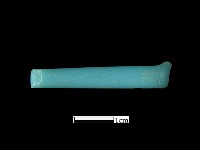 藏品(髮簪)的圖片