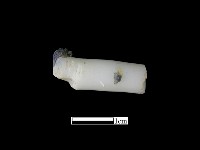 藏品(髮簪)的圖片