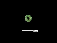 藏品(玻璃珠)的圖片