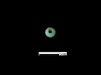 藏品(玻璃珠)的圖片