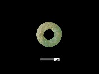 藏品(玉墜飾)的圖片