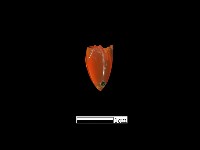 藏品(瑪瑙珠)的圖片