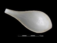 藏品(湯匙)的圖片