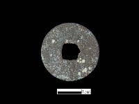 藏品(銅錢)的圖片