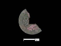 藏品(銅錢)的圖片