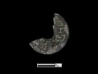 藏品(銅錢)的圖片