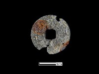 藏品(銅錢)的圖片