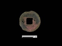 藏品(銅錢)的圖片