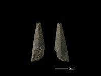 藏品(矛鏃形器)的圖片