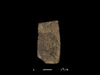 藏品(磨製有刃石器)的圖片