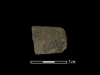 藏品(磨製石器)的圖片