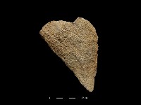 藏品(斧鋤形器)的圖片