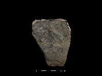 藏品(斧鋤形器)的圖片