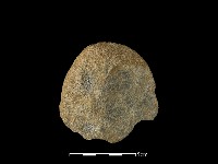 藏品(石片器)的圖片