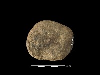 藏品(石片器)的圖片