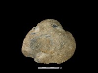 藏品(石片器)的圖片