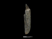 藏品(間接打擊棒)的圖片