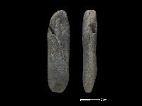 藏品(間接打擊棒)的圖片