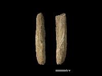 藏品(間接打擊棒)的圖片