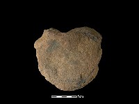 藏品(砍砸器)的圖片