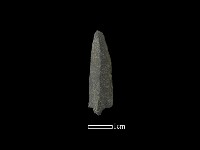 藏品(帶加工痕石材)的圖片