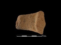 藏品(陶把)的圖片