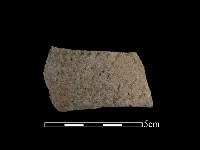 藏品(陶把)的圖片