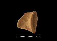 藏品(陶把)的圖片