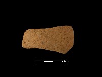 藏品(陶把)的圖片