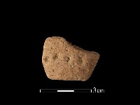 藏品(陶把)的圖片